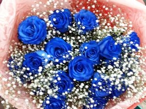 ～夢かなう～｜「フローリスト華えん」　（福井県敦賀市の花キューピット加盟店 花屋）のブログ